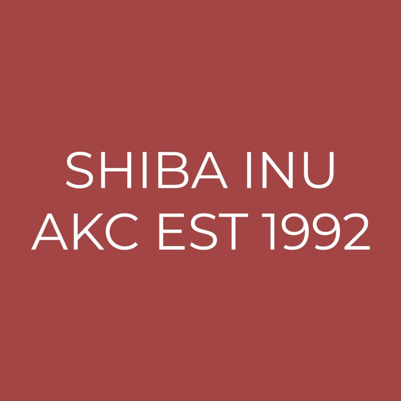 Shiba Inu Embroidered AKC Quarter Zip | AKC Shop