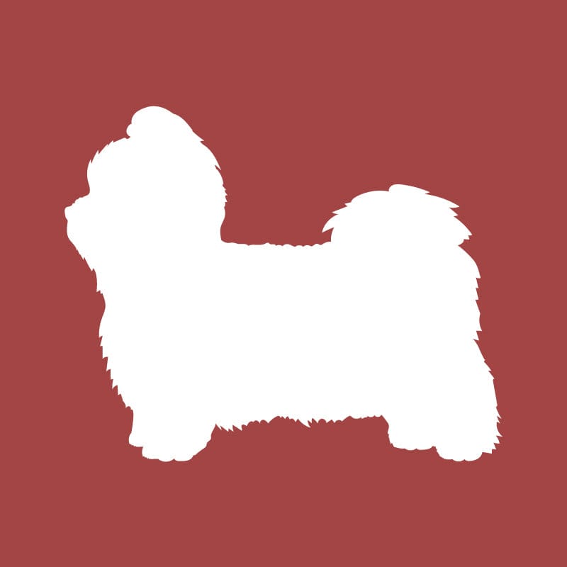 Shih Tzu Embroidered AKC Quarter Zip