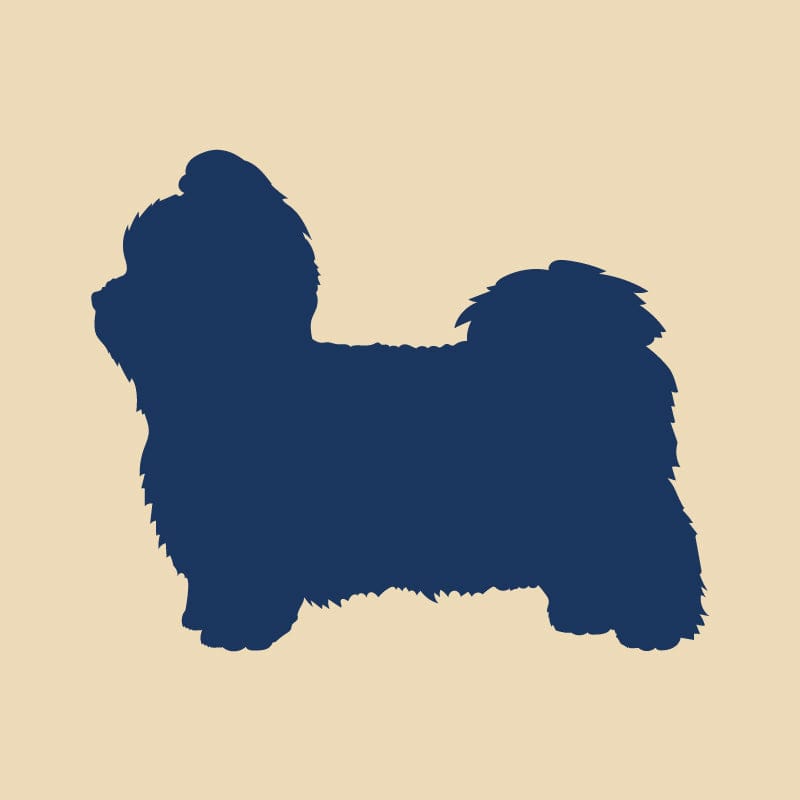 Shih Tzu Embroidered AKC Quarter Zip