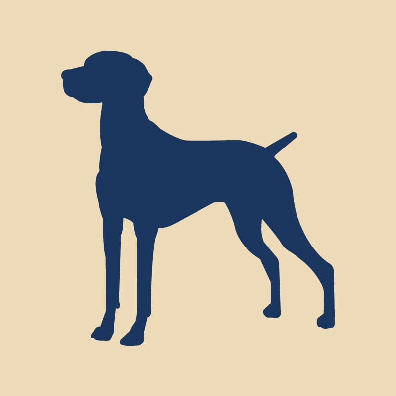 Vizsla Embroidered AKC Quarter Zip