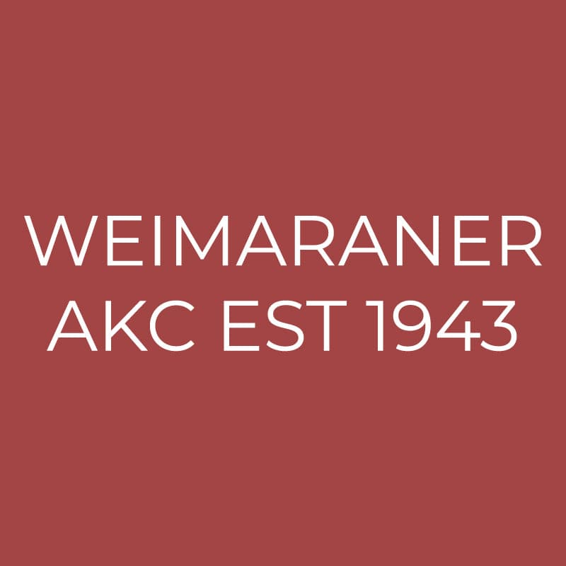 Weimaraner Embroidered AKC Quarter Zip