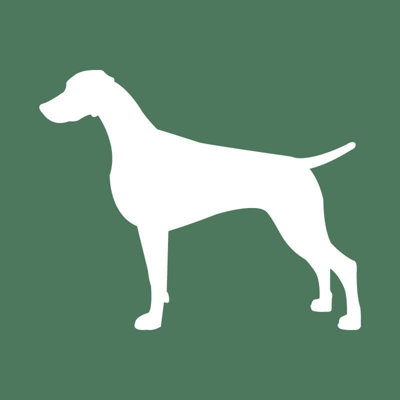 Weimaraner Embroidered AKC Quarter Zip