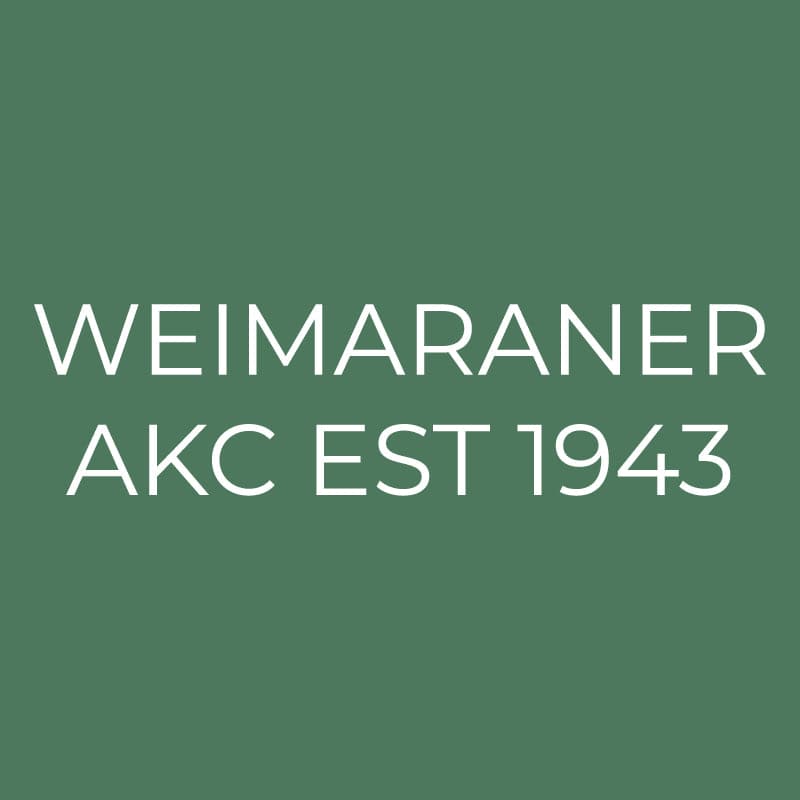 Weimaraner Embroidered AKC Quarter Zip