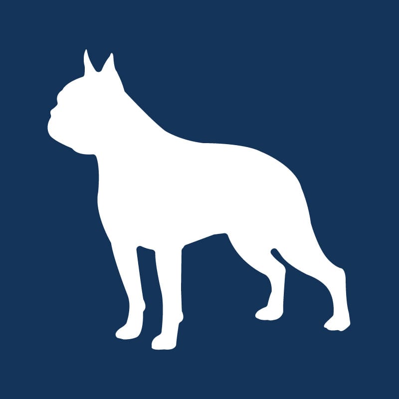 Boston Terrier AKC Embroidered Visor