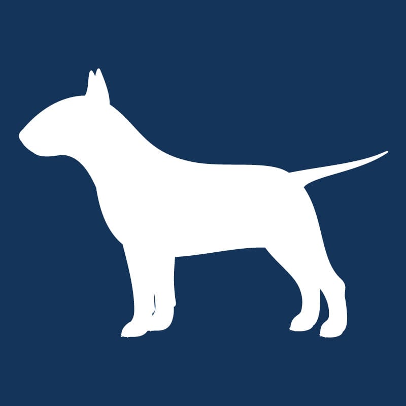 Bull Terrier AKC Embroidered Visor