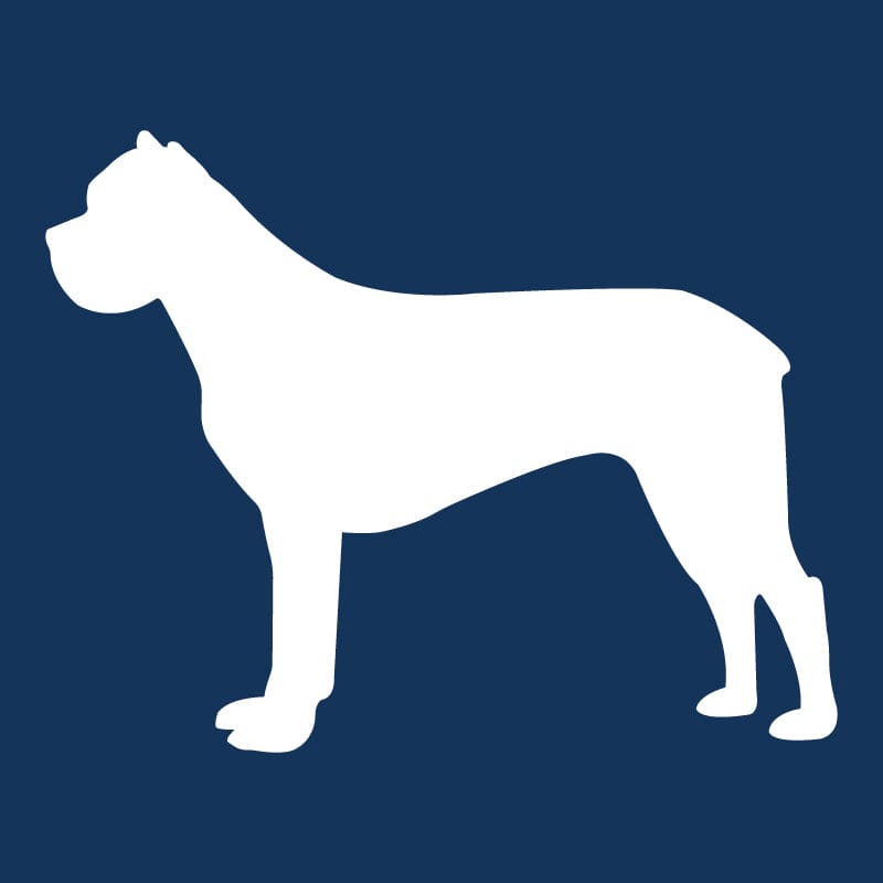 Cane Corso AKC Embroidered Visor