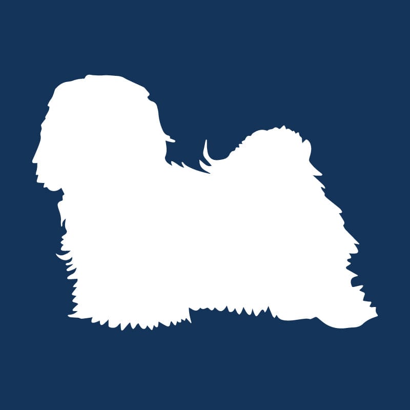 Havanese AKC Embroidered Visor