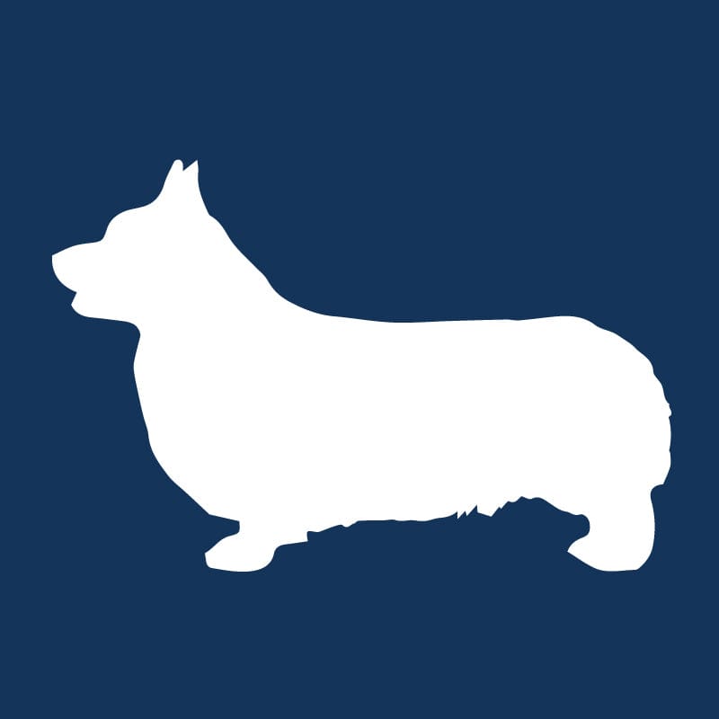 Pembroke Welsh Corgi AKC Embroidered Visor