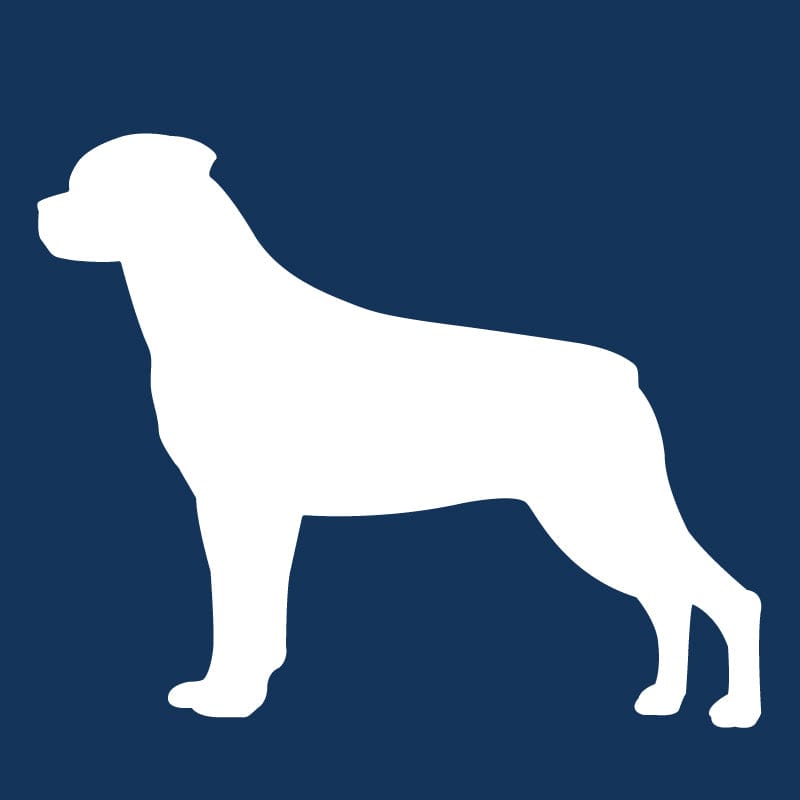 Rottweiler AKC Embroidered Visor