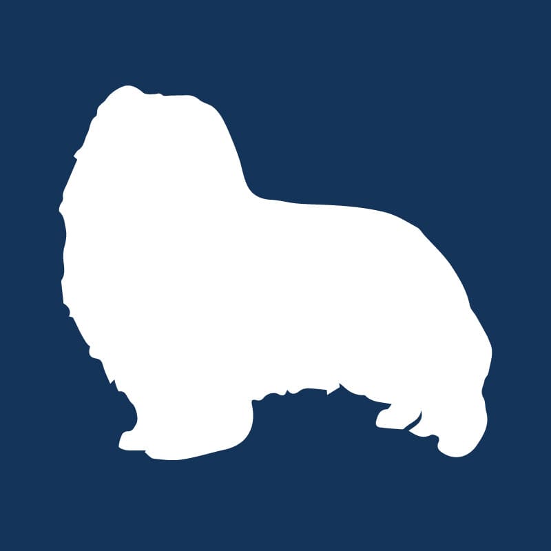 Shetland Sheepdog AKC Embroidered Visor