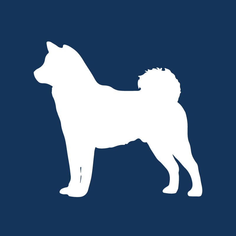 Shiba Inu AKC Embroidered Visor