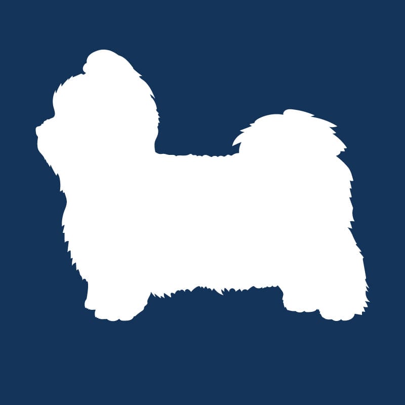 Shih Tzu AKC Embroidered Visor