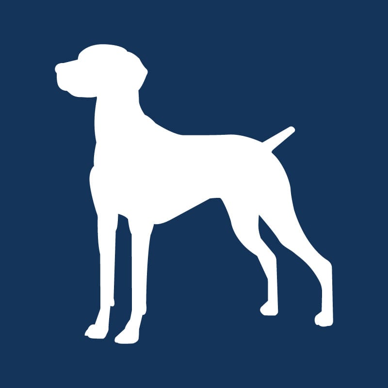 Vizsla AKC Embroidered Visor