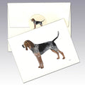 American English Coonhound Note Cards