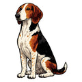 American English Coonhound  Watercolor - Ceramic Mug