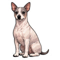 American Hairless Terrier Watercolor - Ceramic Mug