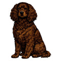 American Water Spaniel Watercolor - Ceramic Mug
