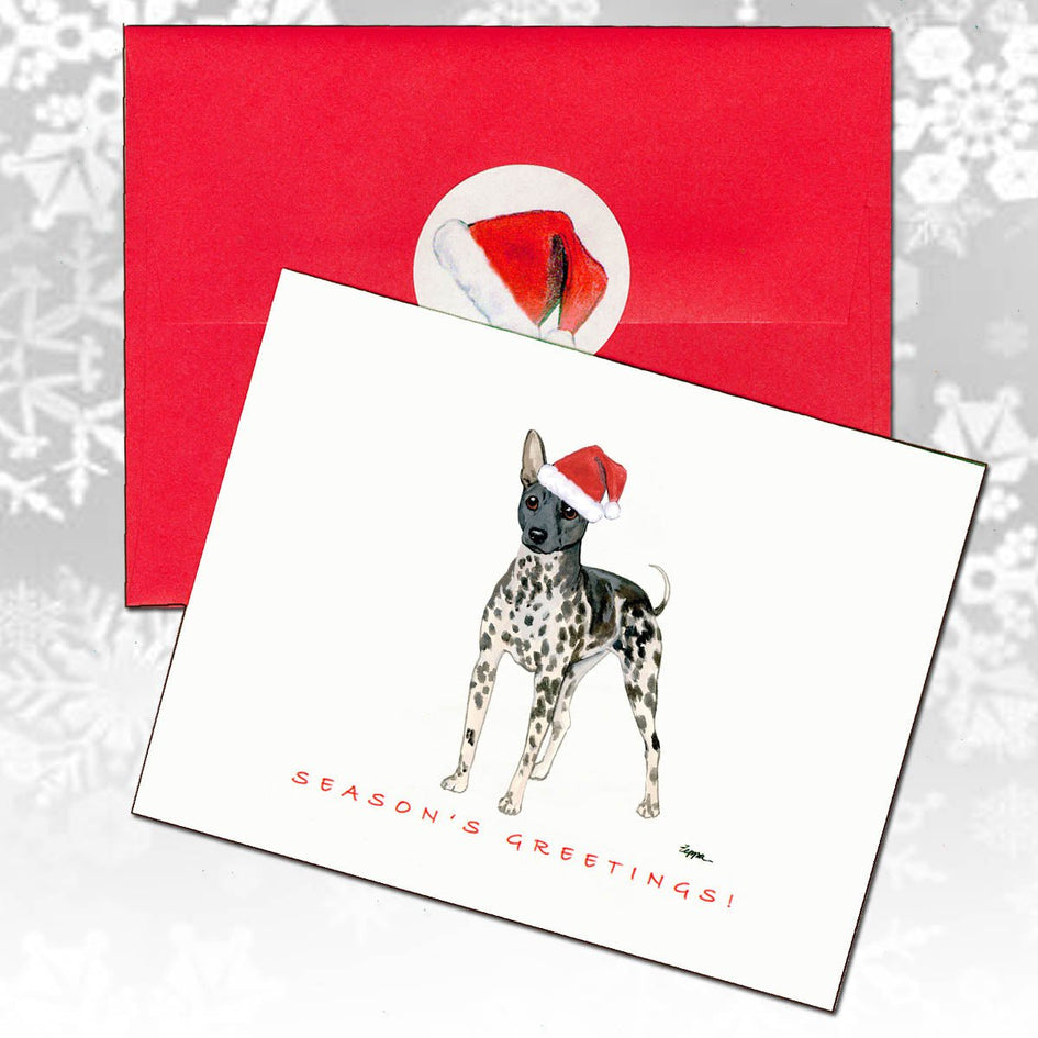 American Hairless Terrier Christmas Note Cards