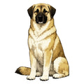 Anatolian Shepherd Dog Watercolor - Ceramic Mug
