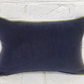 Smooth Dachshund Pillow Cover