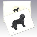 Barbet Note Cards