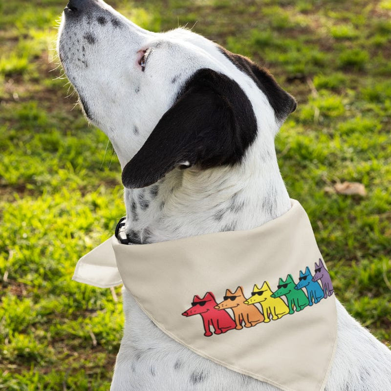 Pride Teddy - Doggie Bandana