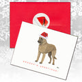 Belgian Laekenois Christmas Note Cards