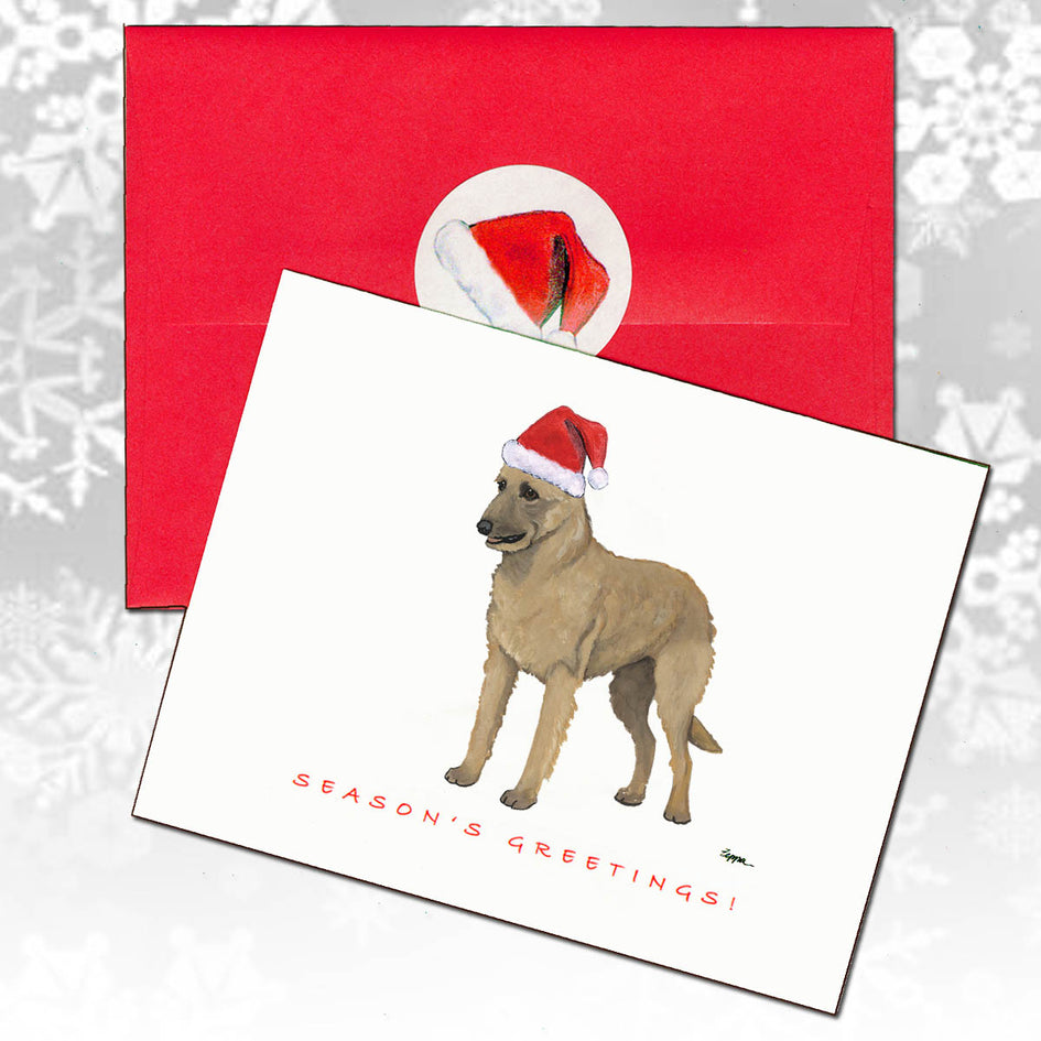 Belgian Laekenois Christmas Note Cards