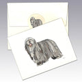 Bergamasco Note Cards