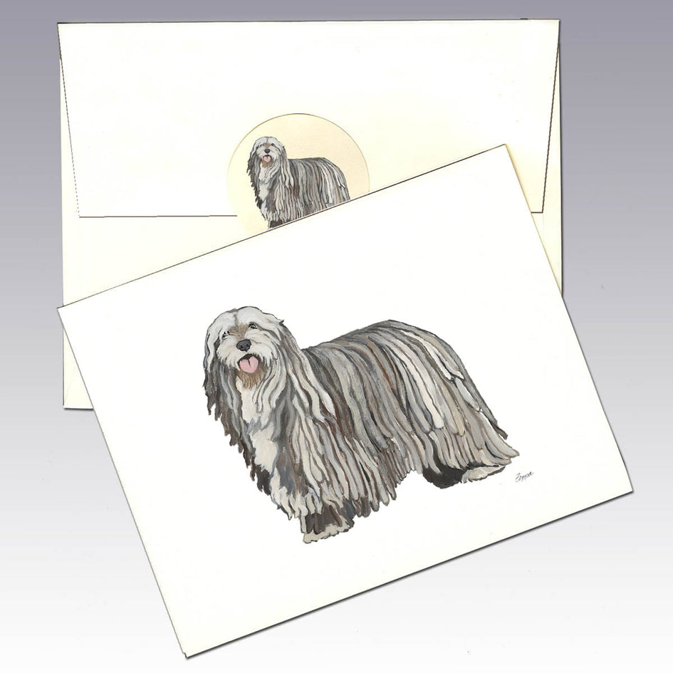 Bergamasco Note Cards
