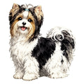 Biewer Terrier Watercolor - Ceramic Mug
