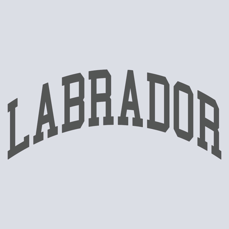 Labrador Mock Neck Sweatshirt