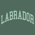 Labrador Mock Neck Sweatshirt