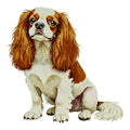 Cavalier King Charles Spaniel Watercolor - Ceramic Mug