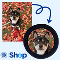Custom FOTOFRISBY Flying Dog Disc Toy