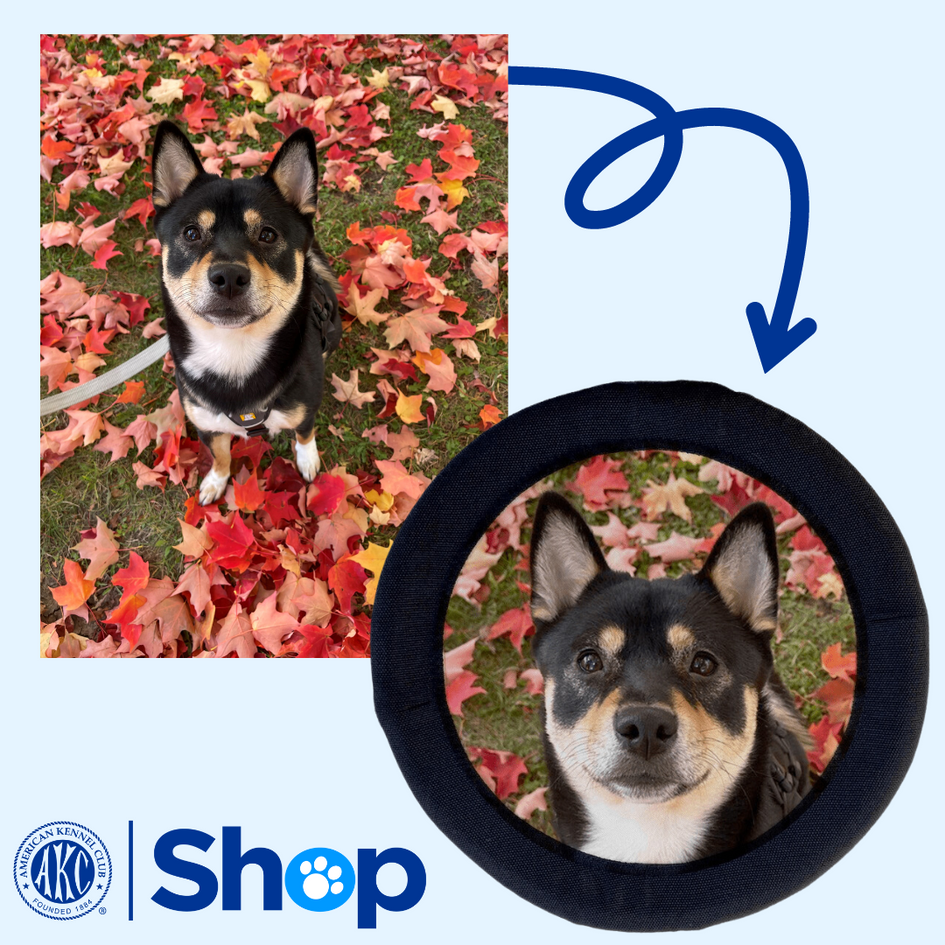 Custom FOTOFRISBY Flying Dog Disc Toy | AKC Shop Custom FOTOFRISBY Flying Dog Disc Toy | AKC Shop