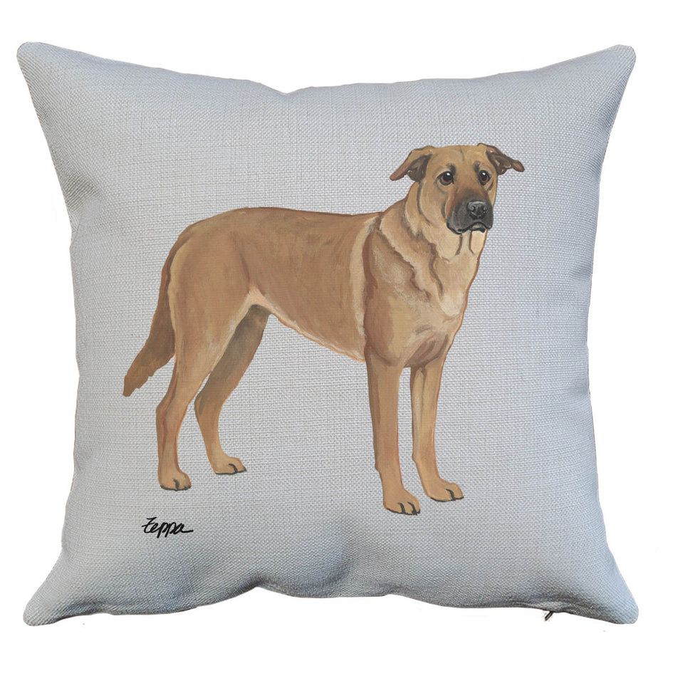 Chinook Pillow Cover