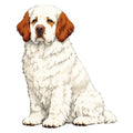 Clumber Spaniel Watercolor - Ceramic Mug