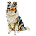 Collie Watercolor - Ceramic Mug
