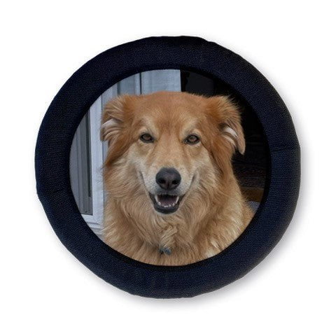Custom FOTOFRISBY Flying Dog Disc Toy | AKC Shop