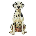 Dalmatian Watercolor - Ceramic Mug