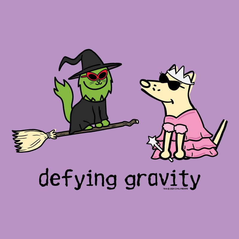 Defying Gravity - Ladies T-Shirt V-Neck