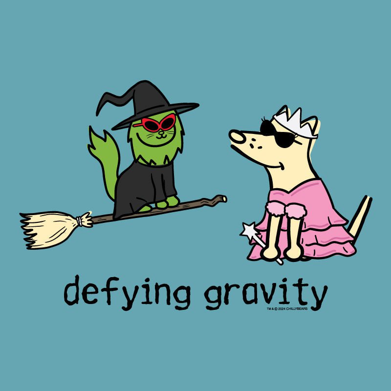 Defying Gravity - Ladies Curvy V-Neck Tee