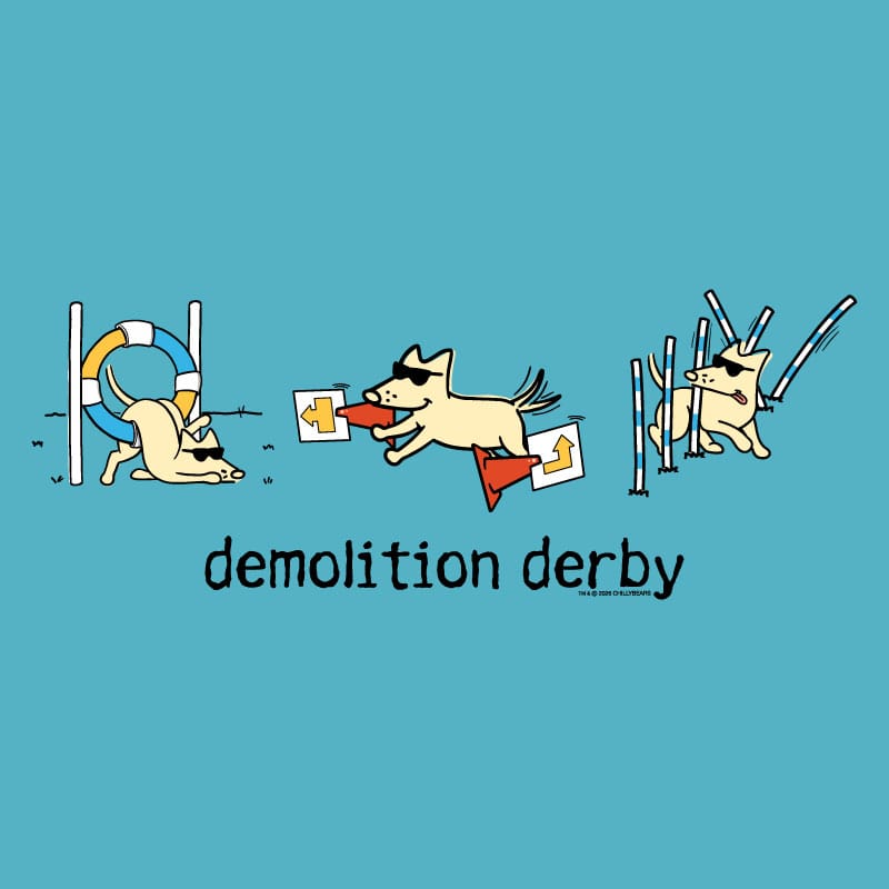 Demolition Derby - Ladies T-Shirt V-Neck
