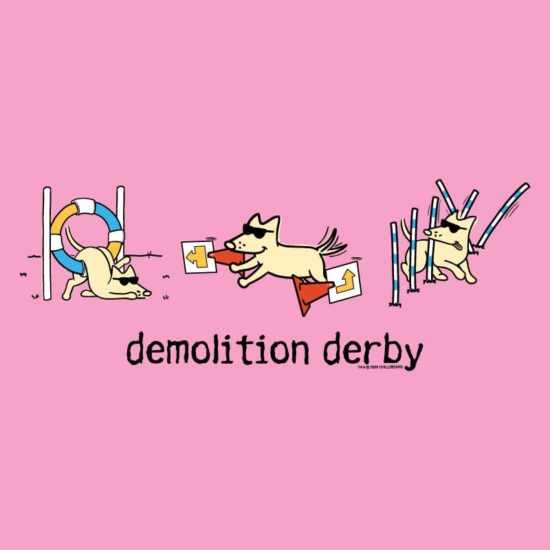 Demolition Derby - Ladies T-Shirt V-Neck