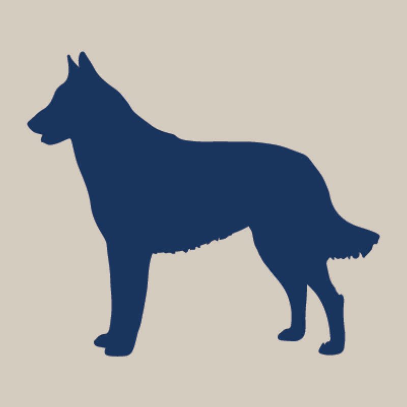 Belgian Malinois- Canvas Boat Tote