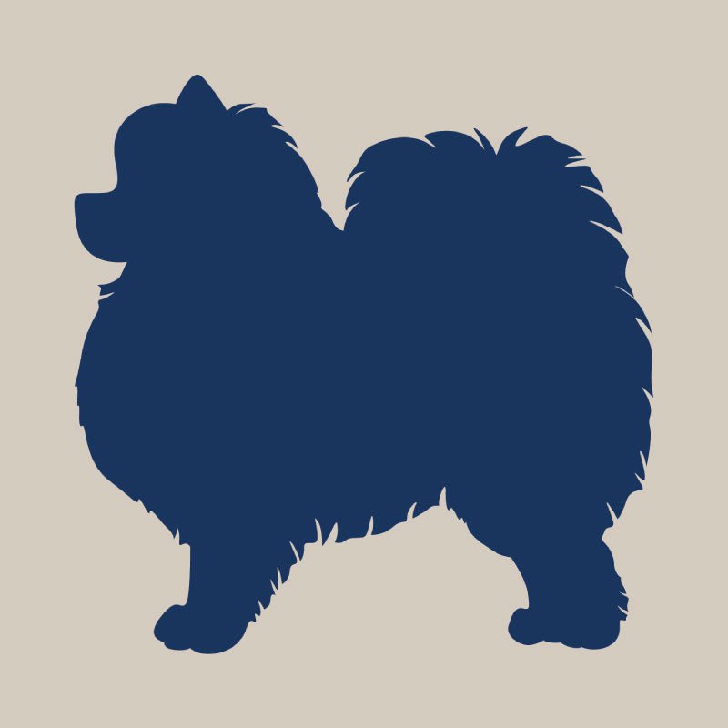Pomeranian - Canvas Boat Tote