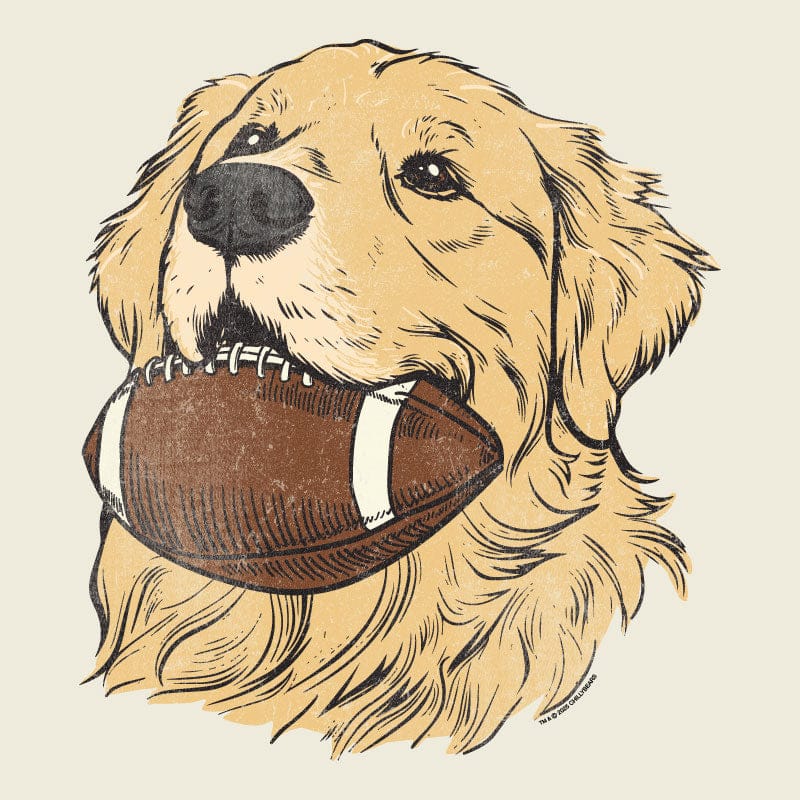 Fetch - Ladies T-Shirt V-Neck
