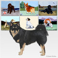 Finnish Lapphund Scenic Cutting Board