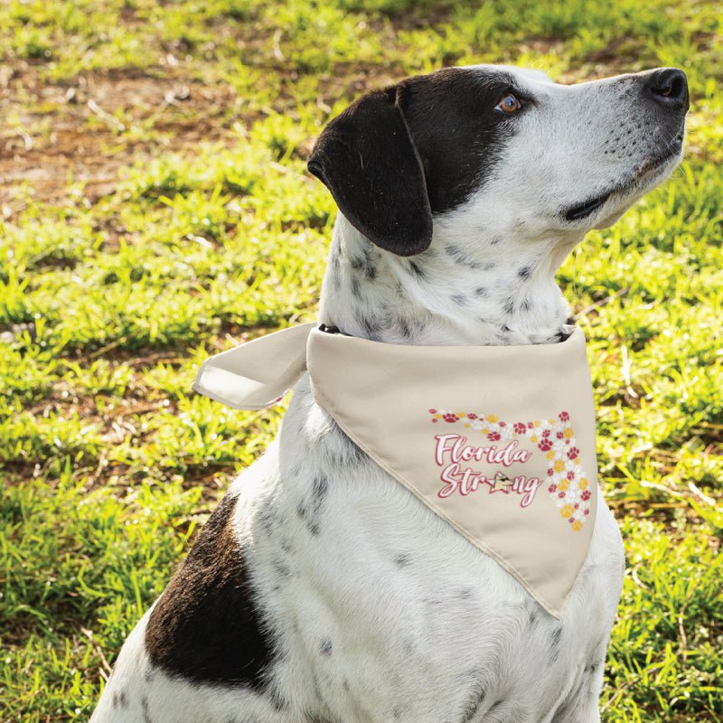 Florida Strong - Doggie Bandana